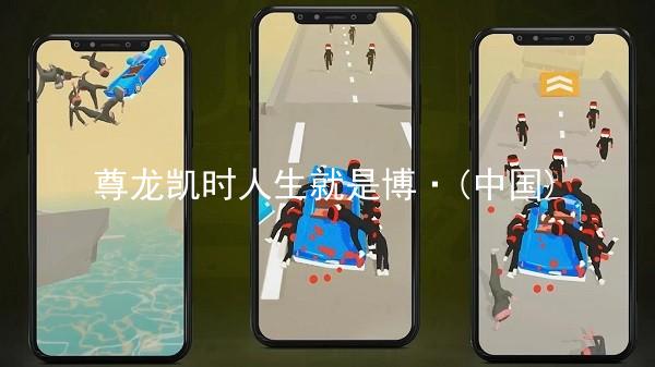 尊龙凯时人生就是博·(中国)