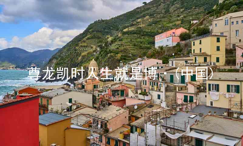 尊龙凯时人生就是博·(中国)