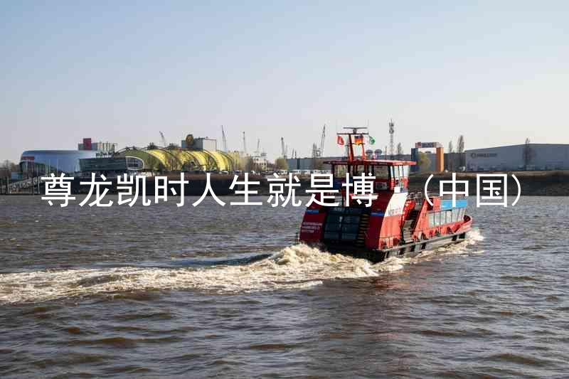 尊龙凯时人生就是博·(中国)